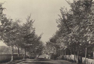 Aldeburgh, Westfields Avenue (s/hvitt bilde) av English Photographer