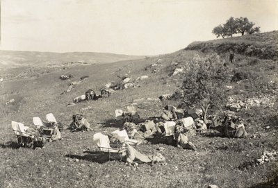 Ambulansekameler, ca. 1916-19 (s/hvitt-bilde) av English Photographer