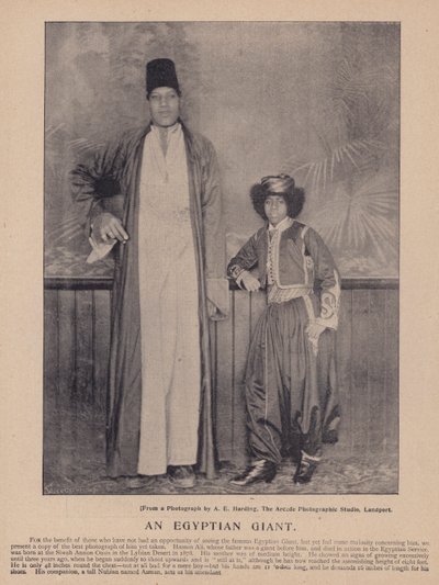 En egyptisk gigant (s/hvitt bilde) av English Photographer