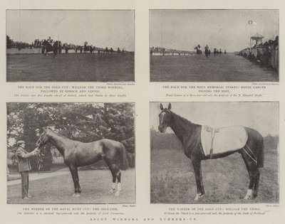 Ascot-vinnere og andre nummer to av English Photographer
