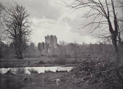 Blarney Castle av English Photographer