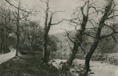 Bolton Woods av English Photographer