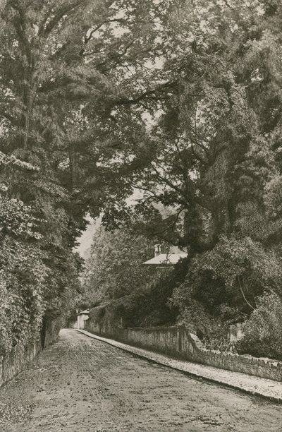 Bonchurch Road, Isle of Wight av English Photographer