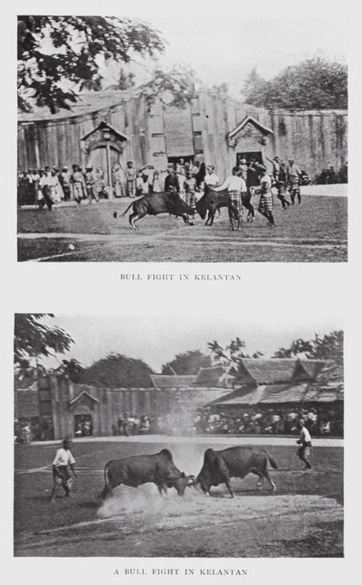 Oksekamp i Kelantan (s/hvitt bilde) av English Photographer