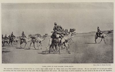 Camel Corps ved Wadi Halfeh, Øvre Egypt av English Photographer