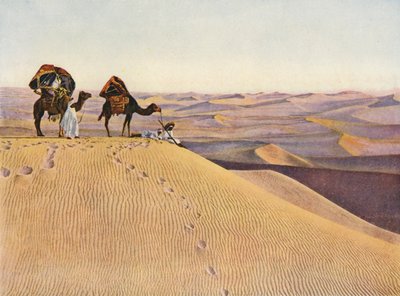 Kameler i Sahara (fargebilde) av English Photographer