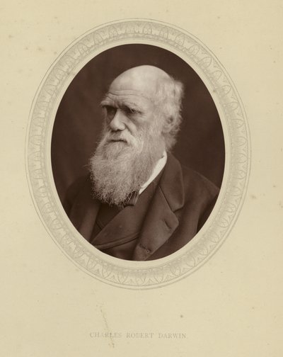 Charles Robert Darwin av English Photographer