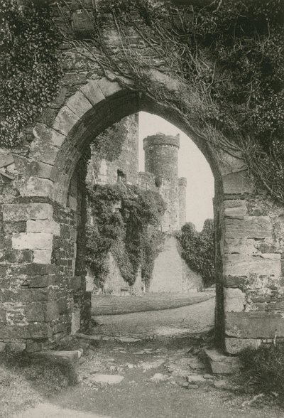 Conway Castle av English Photographer