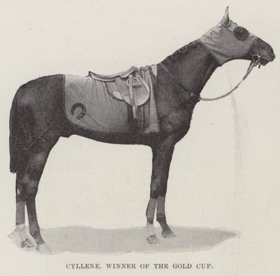 Cyllene, vinner av Gold Cup av English Photographer