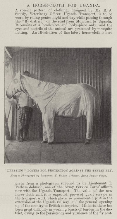 Dressing av ponnier for beskyttelse mot Tsetse-flua av English Photographer