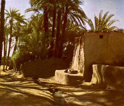 Egypt -Karnak av English Photographer