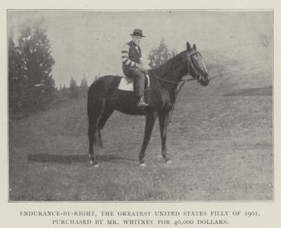 Endurance-by-Right, det største USA-føllet fra 1901, kjøpt av Mr Whitney for 40 000 dollar av English Photographer