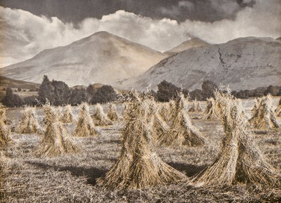 Innhøsting i Strathfillan nedenfor Ben More og Stobinian (fargebilde) av English Photographer