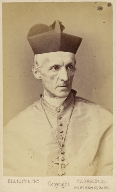 Henry Edward Manning av English Photographer