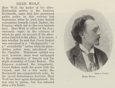 Mr Wolf av English Photographer