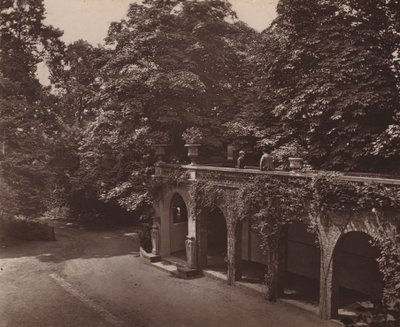 Holland House, London: Terrasse over Colonnade, South Side (s/hvitt bilde) av English Photographer