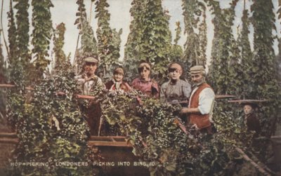 Hopfenpflücker von English Photographer