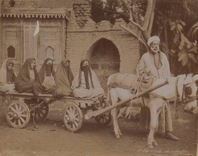 Hestetegnet vogn, Kairo, 1893 av English Photographer