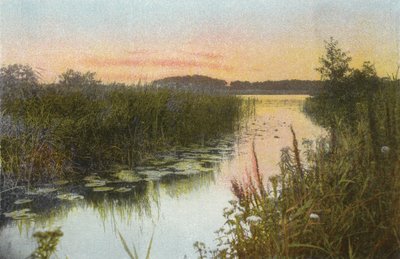 Hoveton Broad av English Photographer