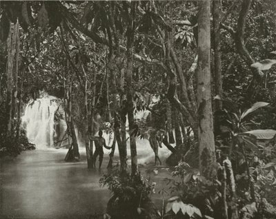 Jamaica: Blue Pool – den brusende elven, St. Anns (s/h-bilde) av English Photographer