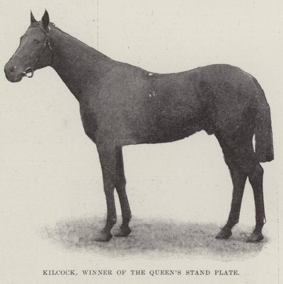 Kilcock, vinner av Queens Stand Plate av English Photographer