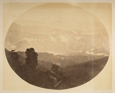 Kinchinjunga fra bakken nær rådhuset, [Darjeeling] fra 