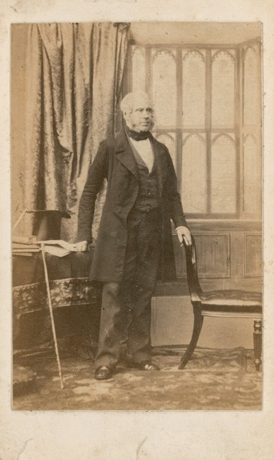 Lord Palmerston av English Photographer