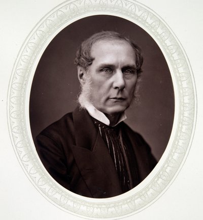Lord Selborne, Roundell Palmer av English Photographer
