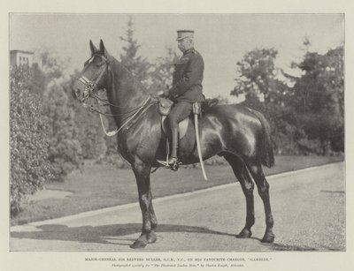 Generalmajor Sir Redvers Buller, GCB, VC, på sin favorittlader, Gambler av English Photographer