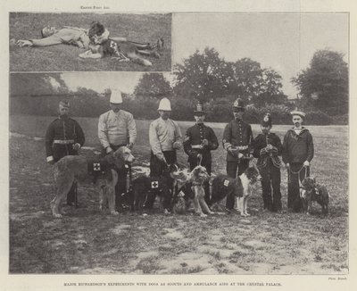 Major Richardsons eksperimenter med hunder som speidere og ambulansehjelpemidler på Crystal Palace av English Photographer