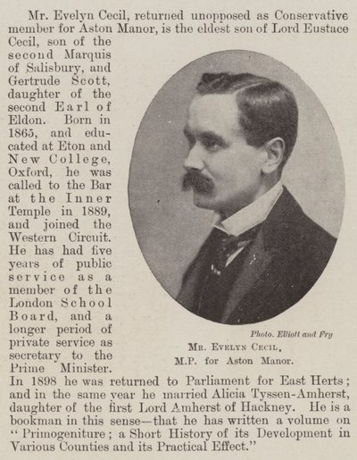 Mr Evelyn Cecil, MP for Aston Manor av English Photographer