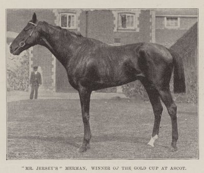 Mr Jerseys Merman, vinner av Gold Cup på Ascot av English Photographer