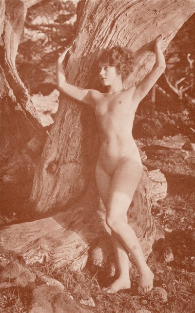  av English Photographer