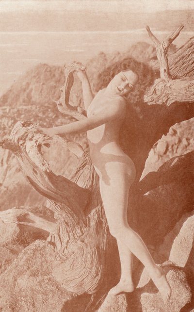  av English Photographer