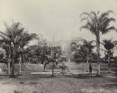 Palmer og fontene, Botanisk hage, Brisbane av English Photographer