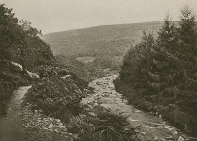 Sti ved Bagworthy Water, Doone Valley av English Photographer