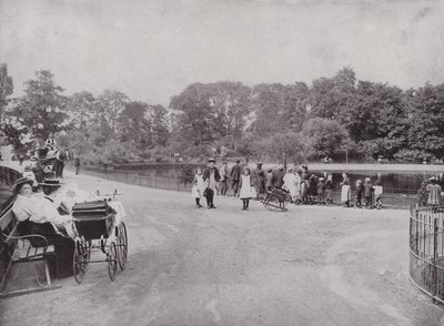 Peckham Park av English Photographer