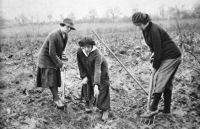 Pleasant, Profitable, Patriotic: On a Fruit-farm at Letchmore Heath, nær St. Albans, fra The Illustrated War News, 2. august 1916 av English Photographer