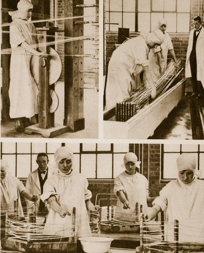 Forbereder Cat-Gut på London Hospitals egen fabrikk (sepia-bilde) av English Photographer