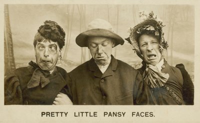 Hübsche kleine Stiefmütterchen-Gesichter von English Photographer