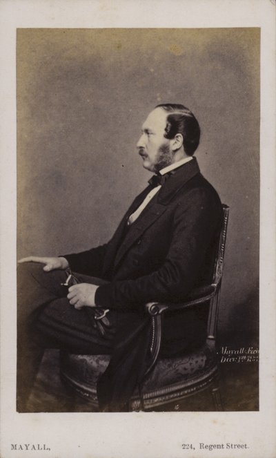 Prins Albert (sepia-bilde) av English Photographer