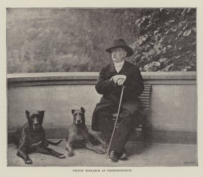 Prins Bismarck ved Friedrichsruh av English Photographer