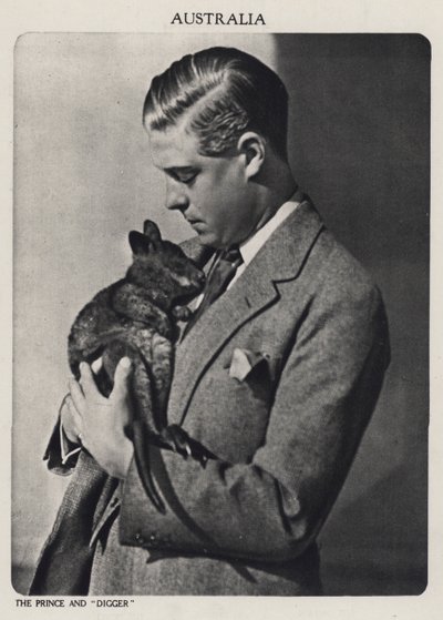 Prince of Wales og Digger, en kengurubaby (s/hv-bilde) av English Photographer