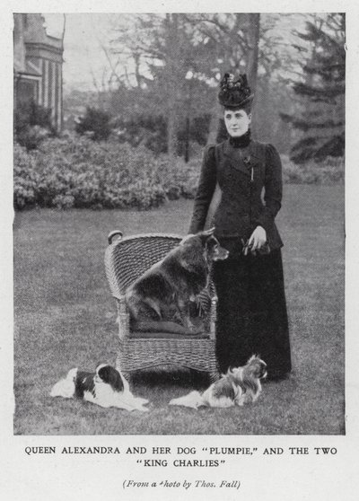 Dronning Alexandra med hunden sin, Plumpie, og hennes to King Charles spaniels (s/hvitt bilde) av English Photographer
