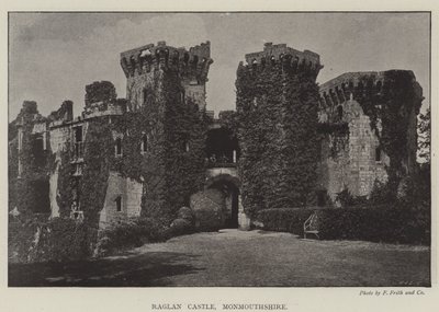 Raglan Castle, Monmouthshire av English Photographer