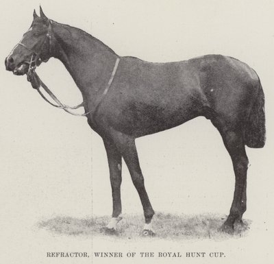 Refractor, vinner av Royal Hunt Cup av English Photographer
