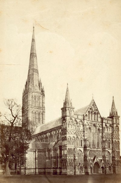 Salisbury katedral av English Photographer