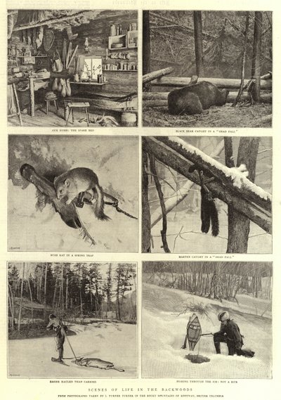 Scener of Life in the Backwoods av English Photographer