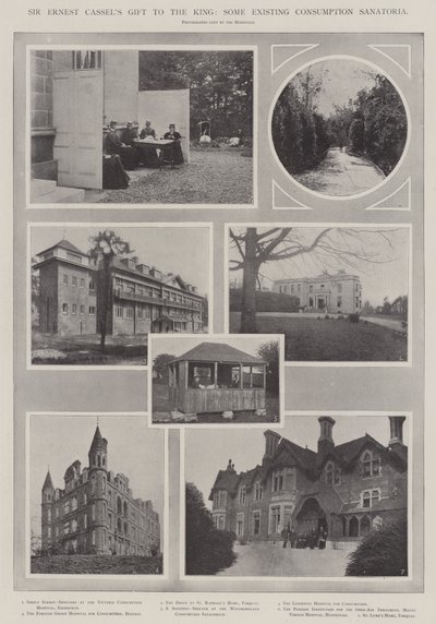 Sir Ernest Cassels gave til kongen, noen eksisterende forbrukssanatorier av English Photographer