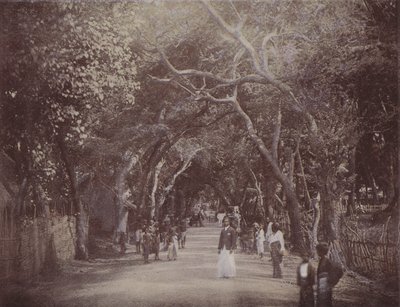 Skinners Road, Colombo (farget bilde) av English Photographer